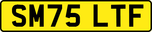 SM75LTF