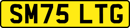 SM75LTG