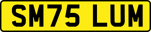 SM75LUM