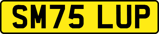 SM75LUP