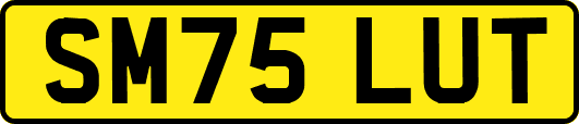 SM75LUT