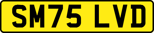 SM75LVD