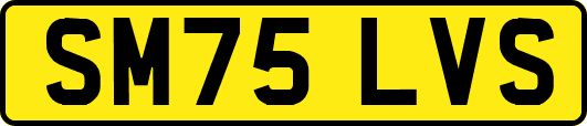 SM75LVS