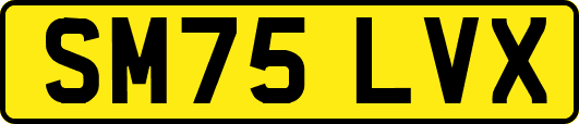 SM75LVX