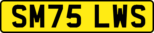 SM75LWS