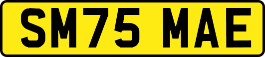 SM75MAE