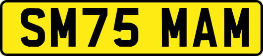 SM75MAM