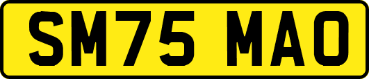 SM75MAO