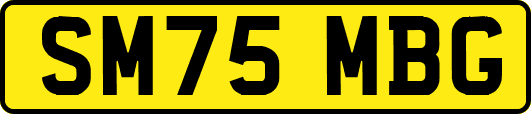 SM75MBG