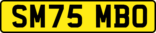 SM75MBO