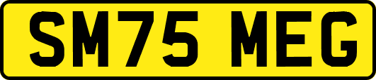 SM75MEG