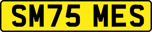 SM75MES