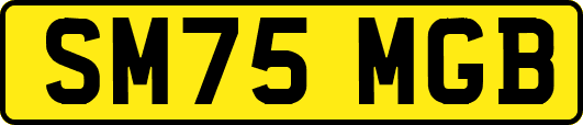 SM75MGB