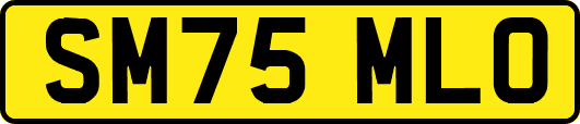 SM75MLO
