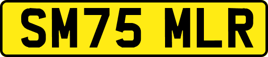 SM75MLR