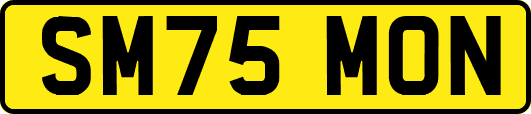 SM75MON