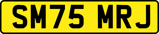 SM75MRJ