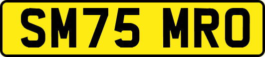 SM75MRO