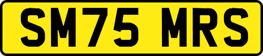 SM75MRS