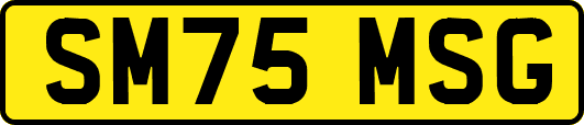 SM75MSG