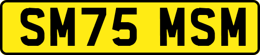 SM75MSM