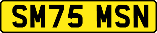 SM75MSN