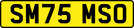 SM75MSO