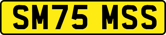 SM75MSS