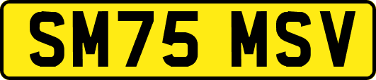 SM75MSV