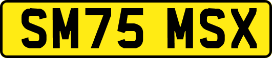 SM75MSX