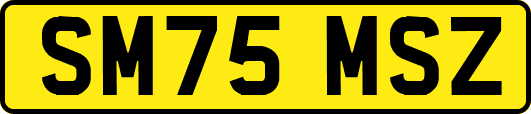 SM75MSZ