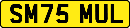 SM75MUL