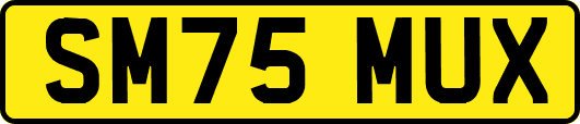SM75MUX