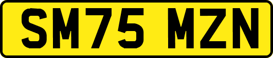 SM75MZN