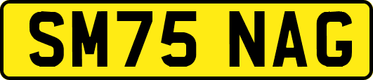 SM75NAG