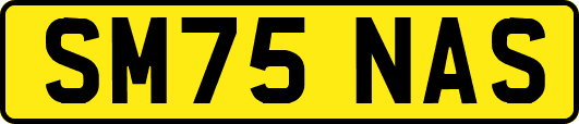 SM75NAS