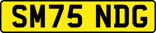SM75NDG