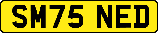 SM75NED