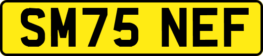 SM75NEF