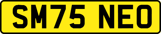 SM75NEO
