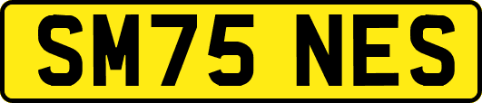 SM75NES