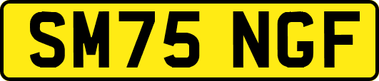 SM75NGF