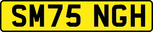SM75NGH