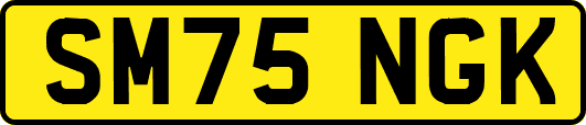 SM75NGK