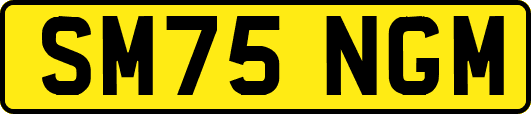 SM75NGM