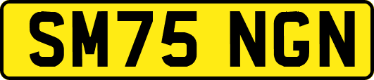 SM75NGN