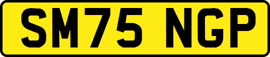 SM75NGP
