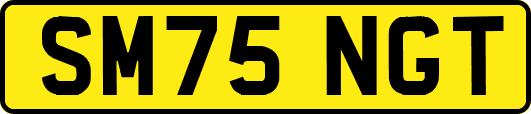 SM75NGT