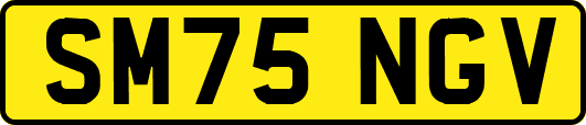 SM75NGV