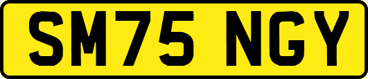 SM75NGY